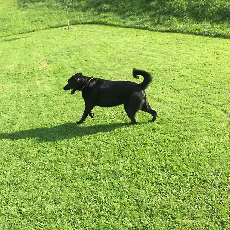 Konukevi Seepension Knappenhof