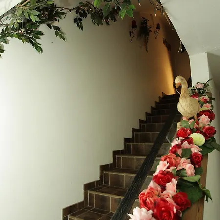 Seepension Knappenhof