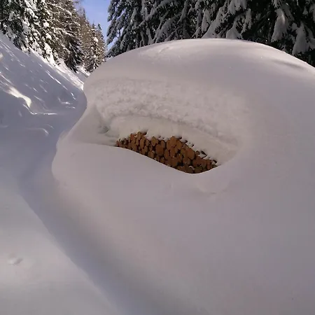 Konukevi Seepension Knappenhof Pertisau