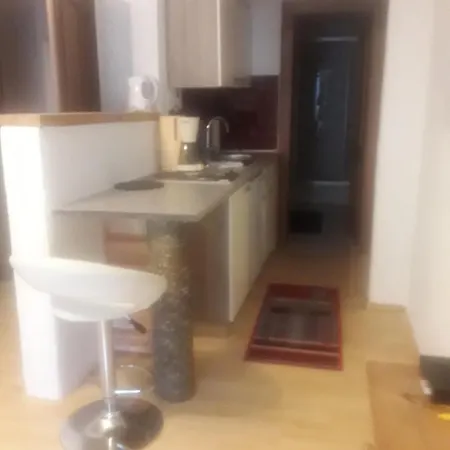 西盆申纳盆霍夫旅馆 招待所